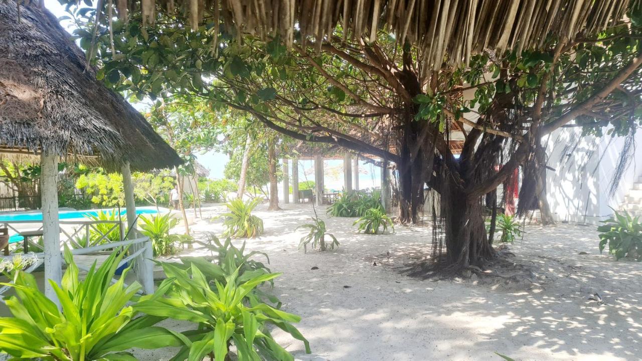 גאמביאני Garden Beach Bungalows Jambiani מראה חיצוני תמונה